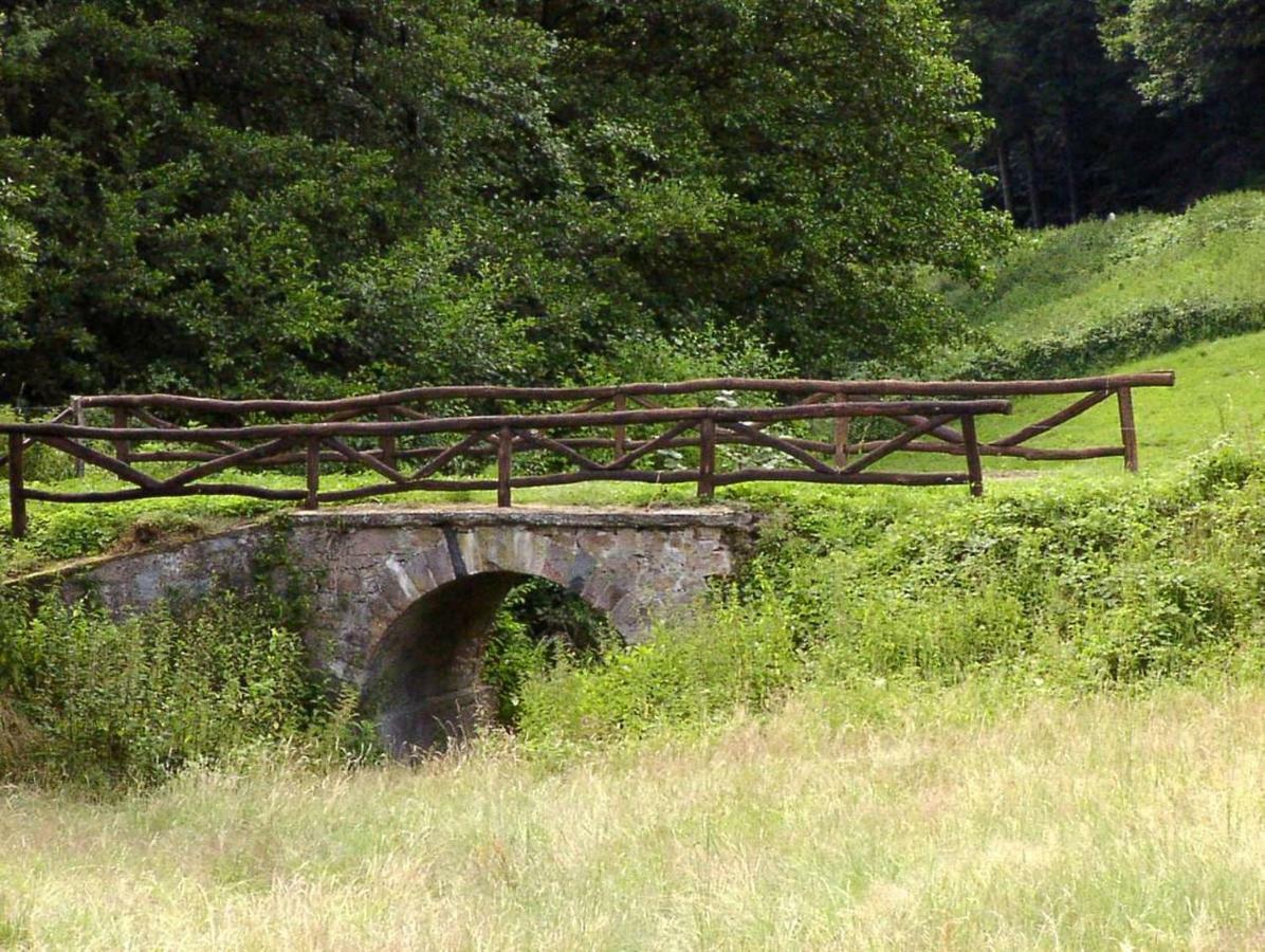 Schoenblick - Gemuetlich Uebernachten! Ober-Hambach Buitenkant foto