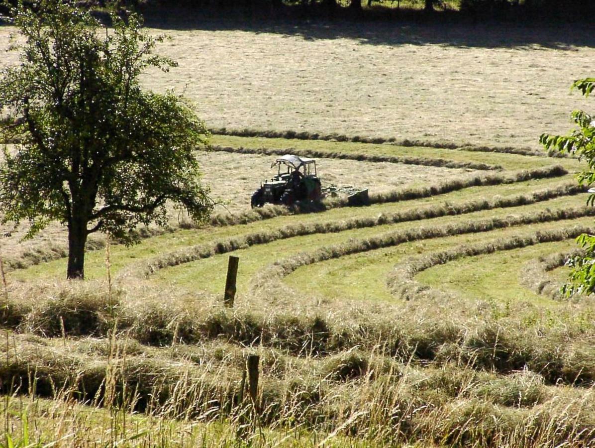 Schoenblick - Gemuetlich Uebernachten! Ober-Hambach Buitenkant foto